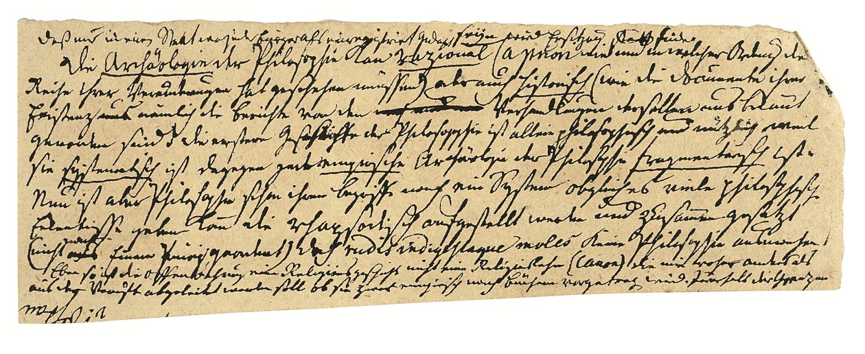Manoscritto autografo, in tedesco, note sulla filosofia e l