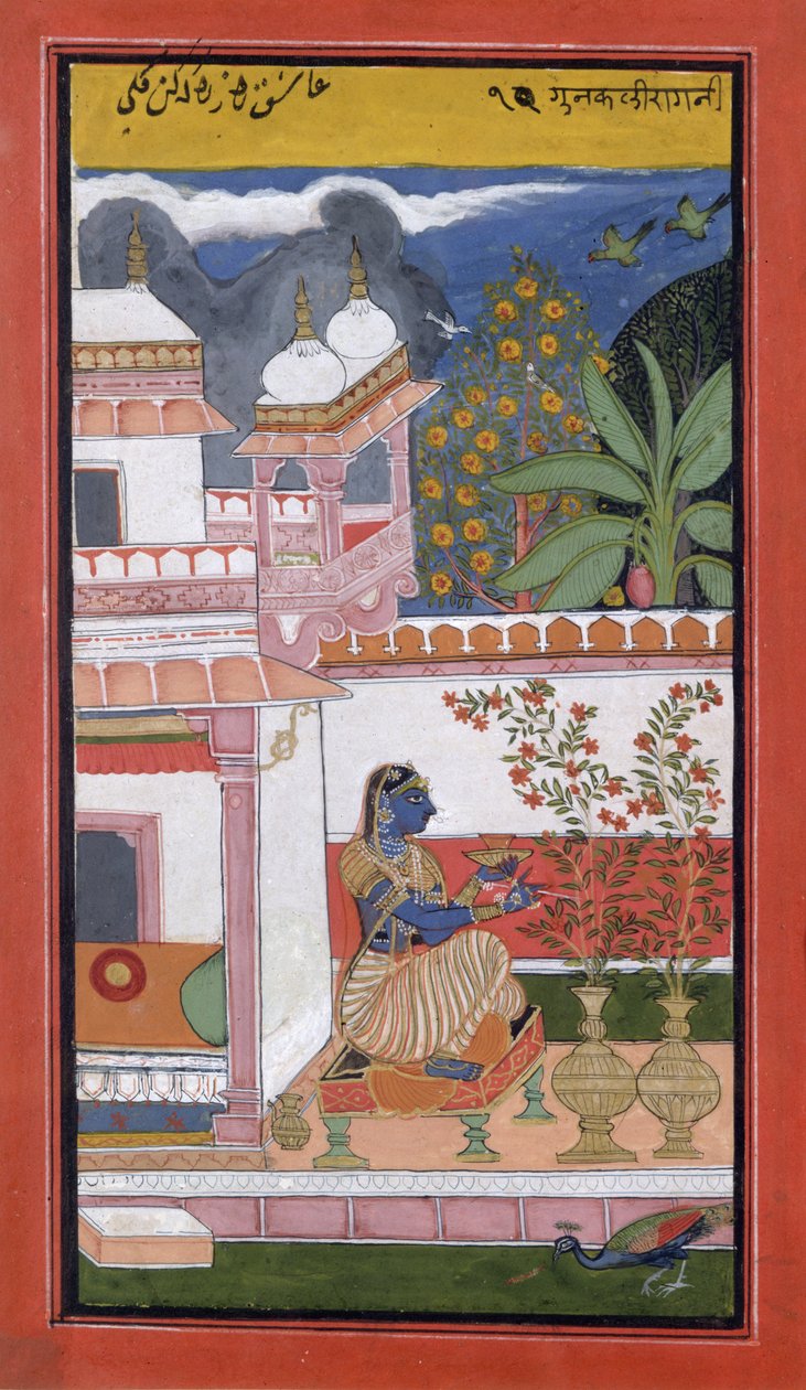 Una signora che raccoglie fiori da un vaso, Bundi, Rajasthan, Scuola Rajput, c.1680 da Indian School