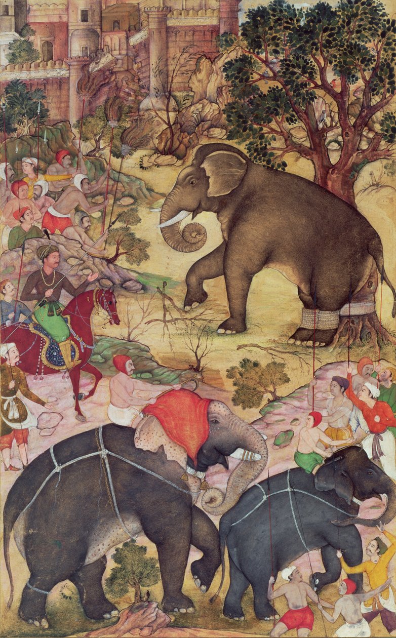 Akbar che ispeziona l