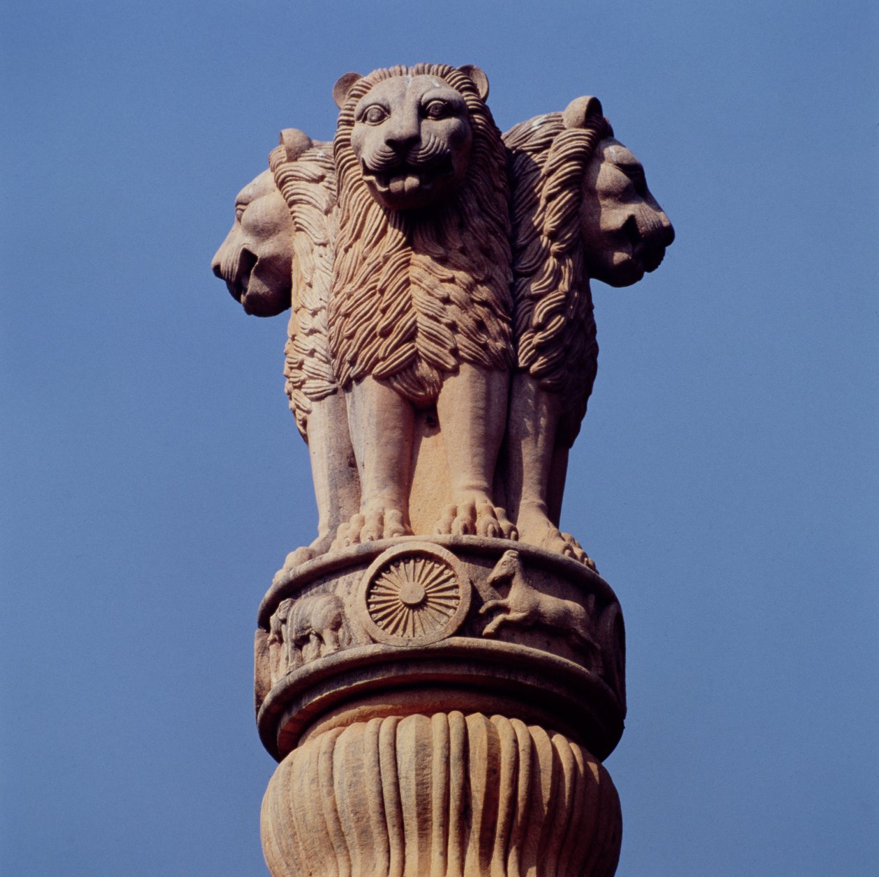 (dettaglio) da un pilastro di Ashoka da Indian School