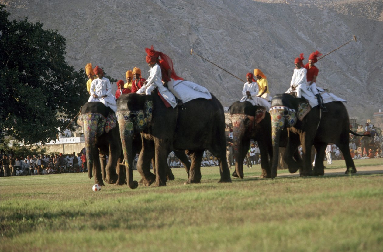 Uomini che giocano a polo con gli elefanti (foto) da Indian Photographer