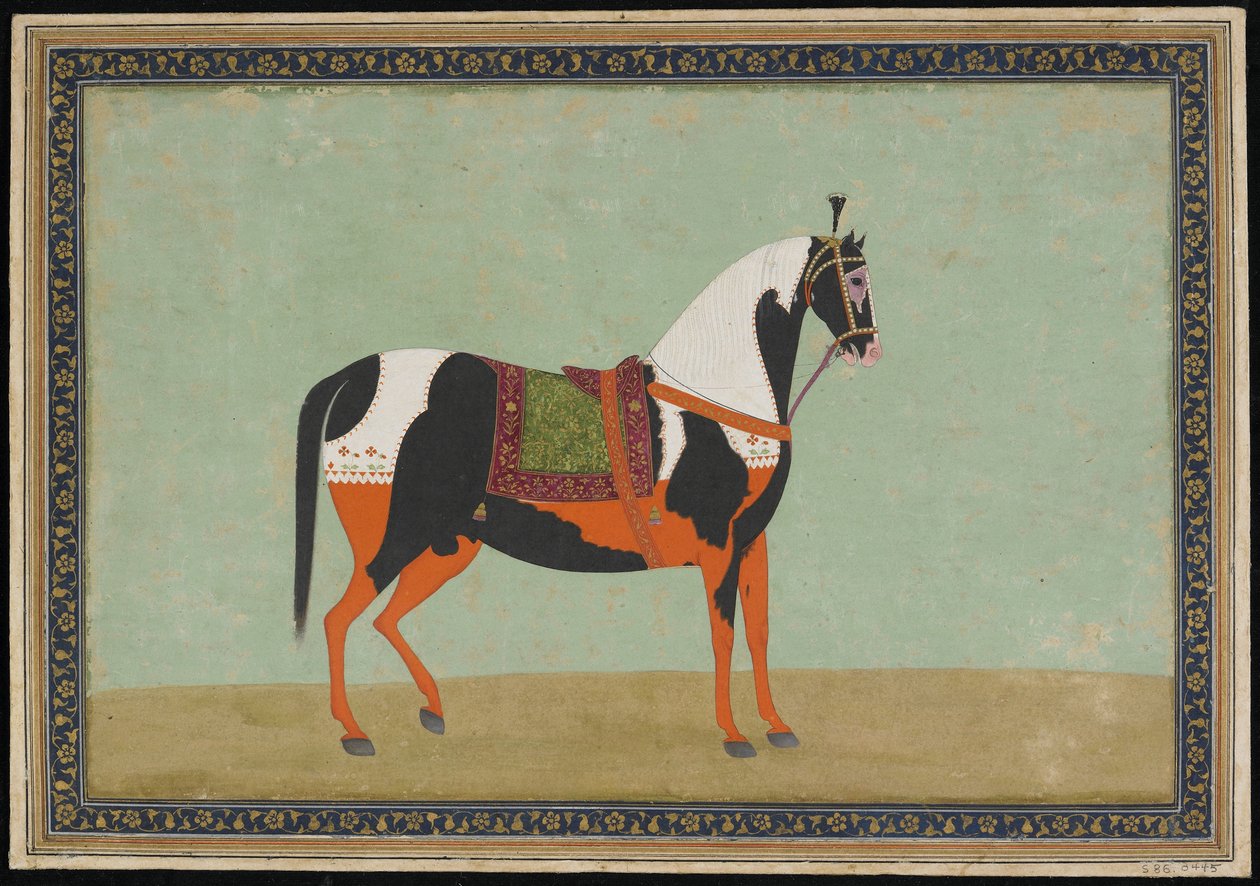 Un cavallo, XIX secolo da Indian School