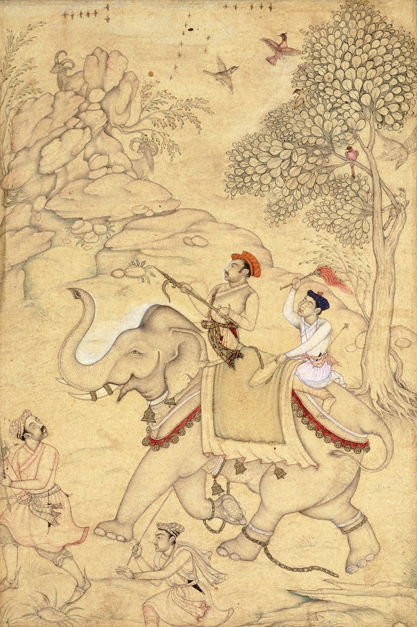 Un principe a caccia, a cavallo di un elefante, c.1600-1650 da Indian School