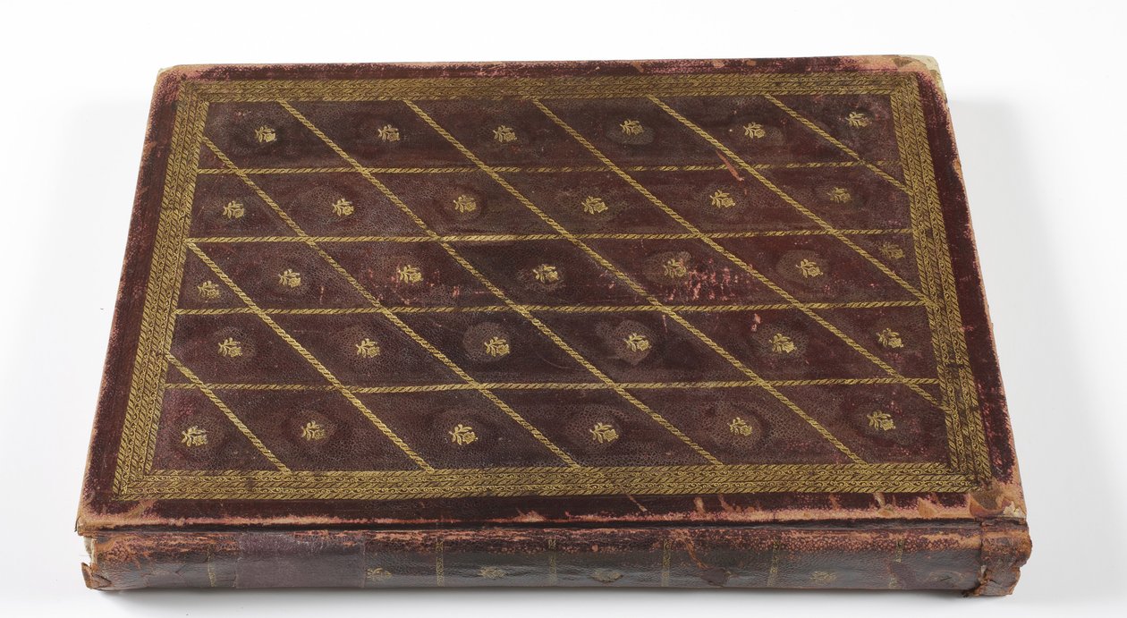 Album di genealogia dinastica Mughal da Indian School