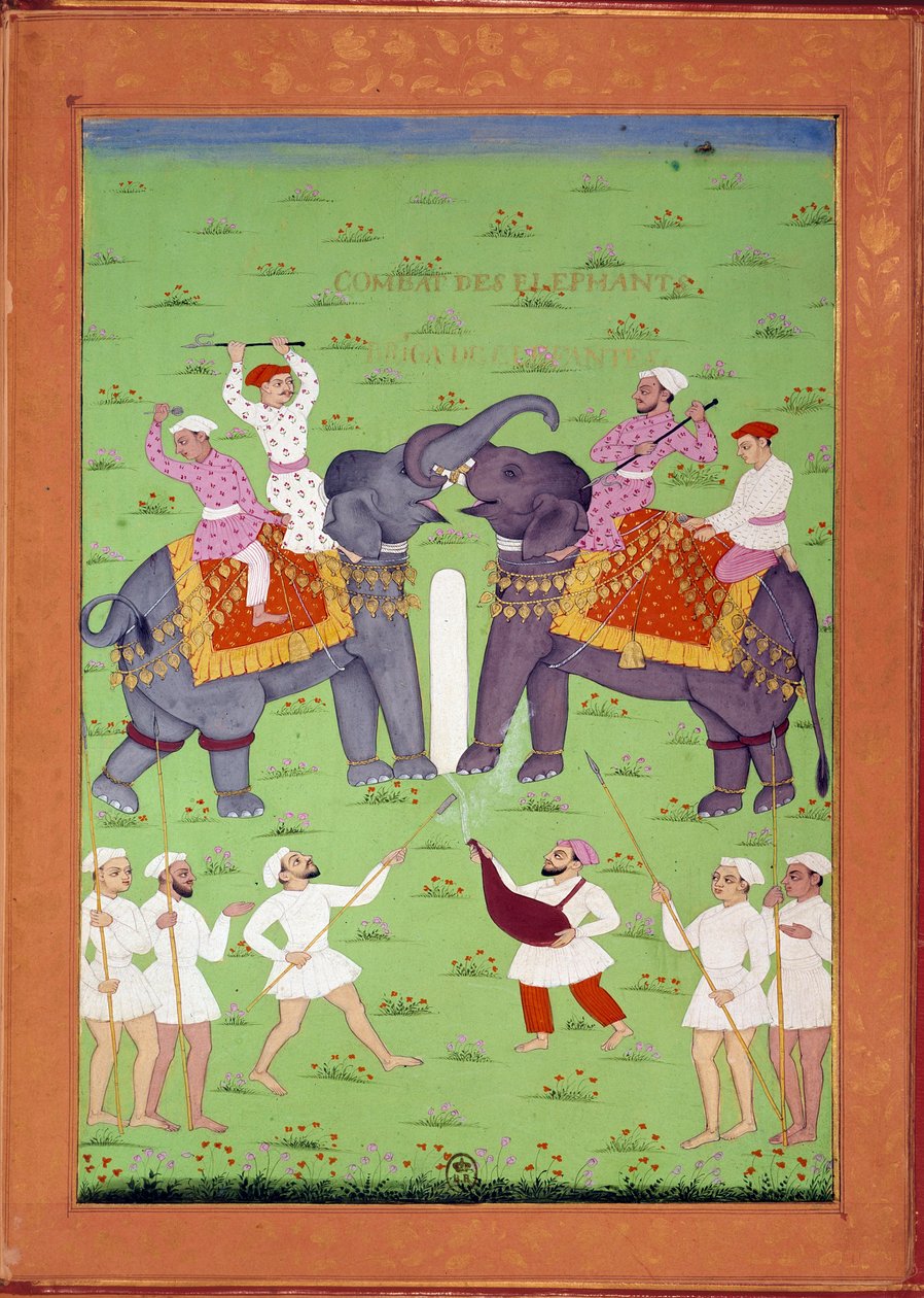 Battaglia di due elefanti alla corte di Shah Alem da Indian School