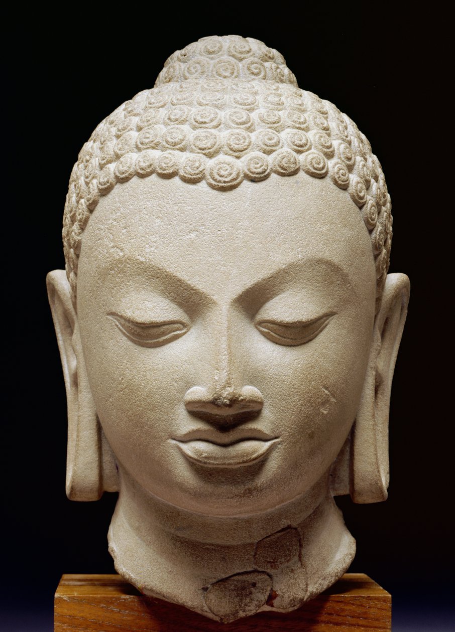 Testa di Buddha, cultura di Sarnath, 500 d.C. da Indian School