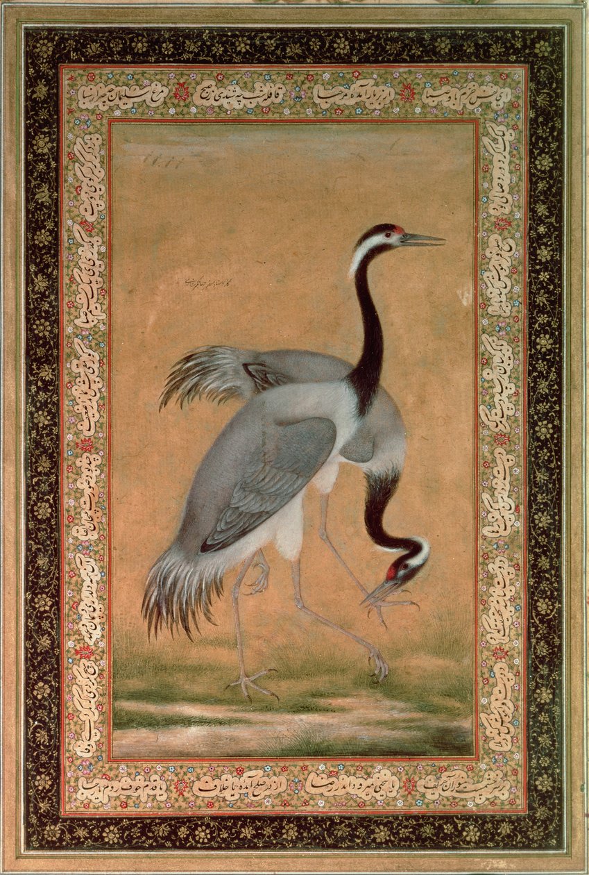 Gru di Mansur, periodo Jahangir, Mughal da Indian School
