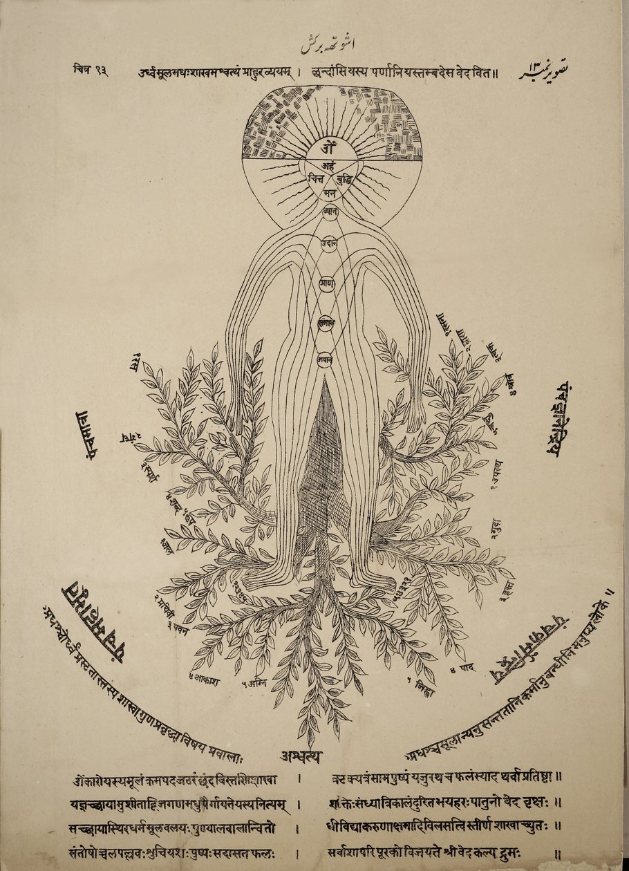 Diagramma che mostra i punti meridiani sul corpo umano da Indian School