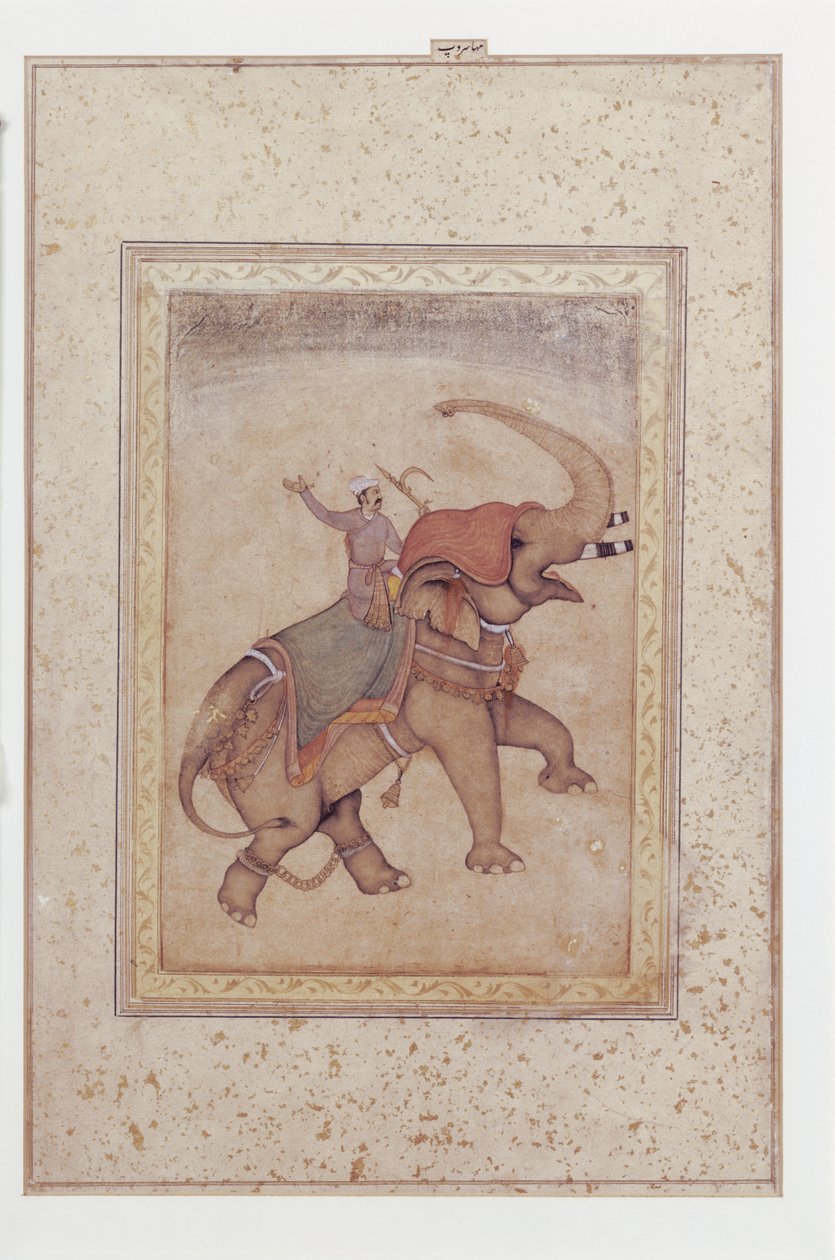 Elefante e mahout (conducente di elefante), ca.
1595-1600 (Acquerello opaco, inchiostro e oro su carta) da Indian School