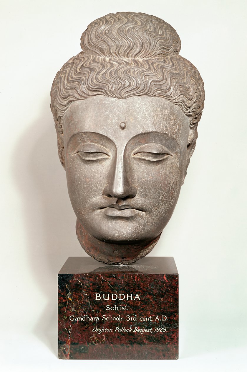 Testa da una statua del Buddha, da Gandhara, nord-ovest dell