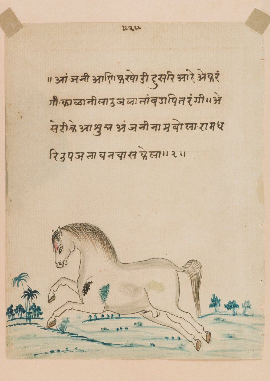 Cavallo da Indian School