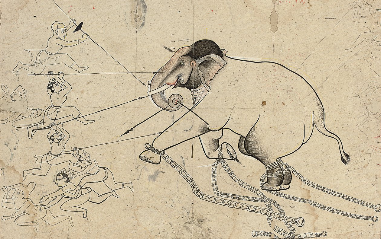 Isarda o kotah disegno preparatorio dell