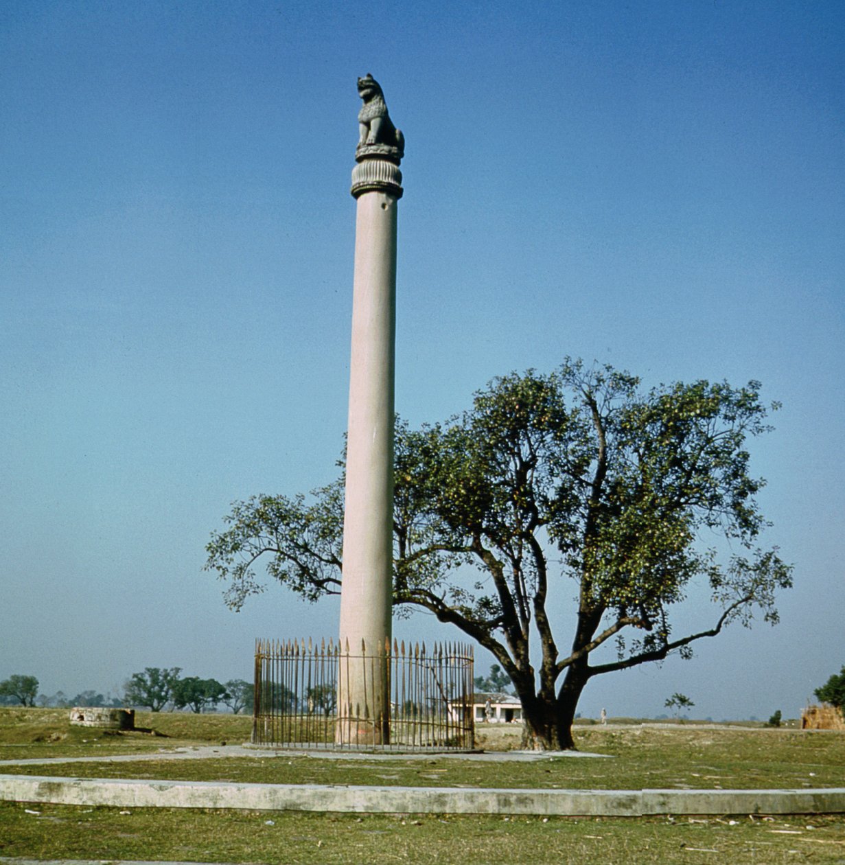 Colonna del leone dell