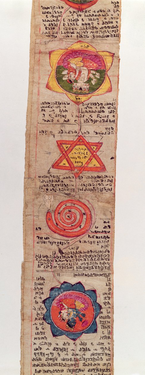 Ms Sanskrit 1804 Manoscritto medico sanscrito da Indian School