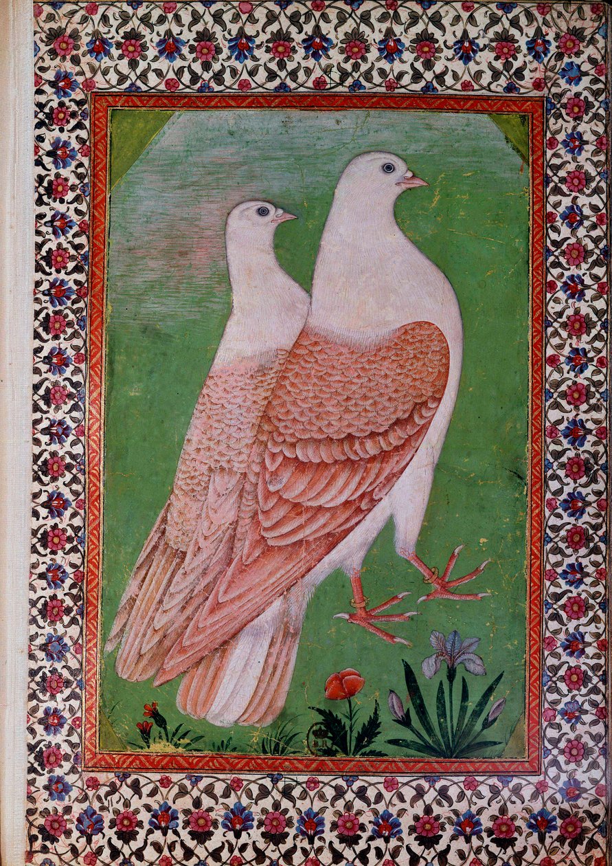 Arte orientale: due piccioni da Indian School