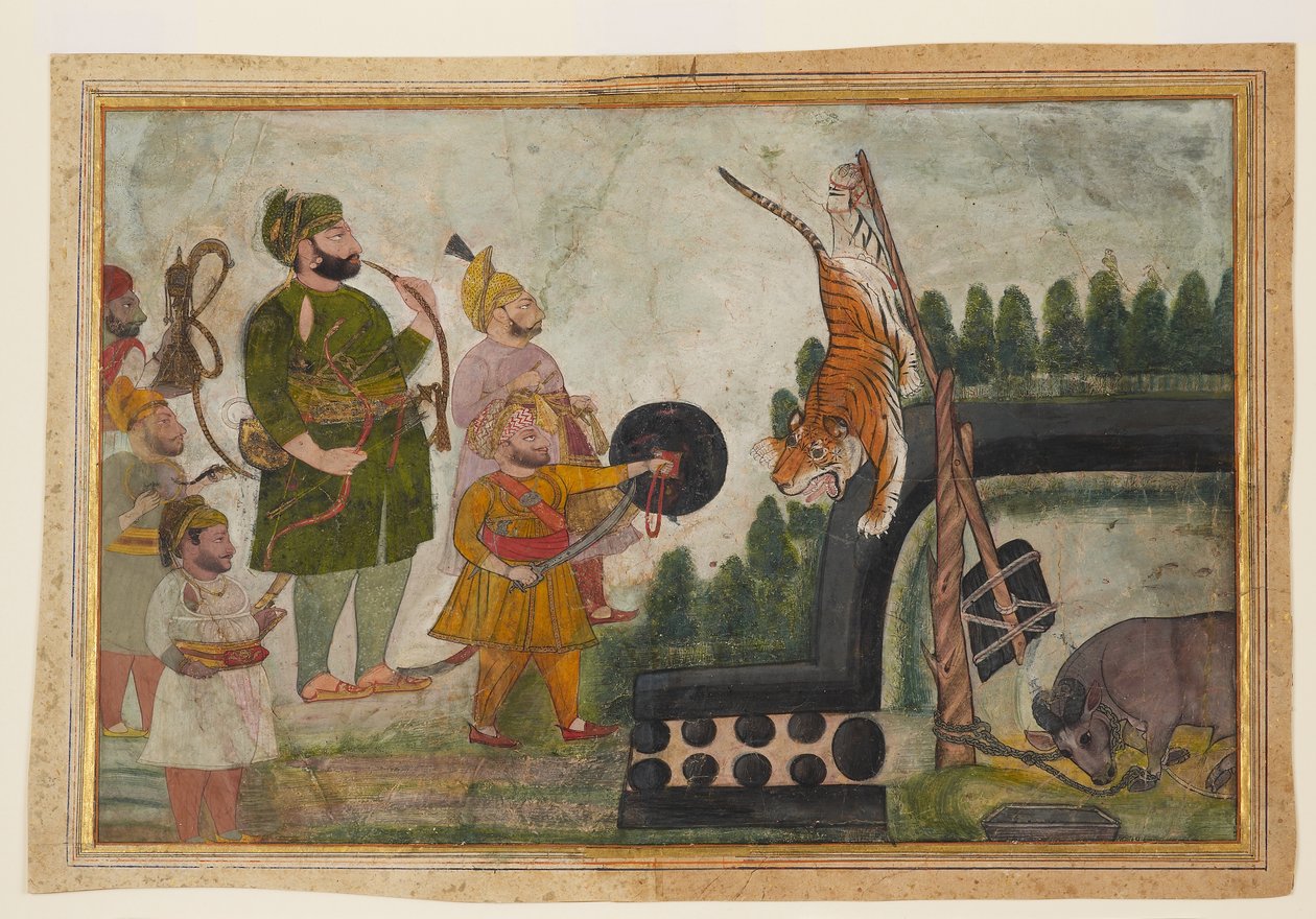 Rawat Gokul Das ispeziona una tigre intrappolata da Indian School