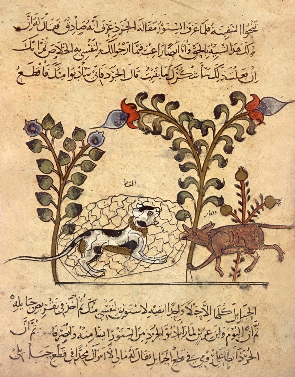 Il gatto e il topo, miniatura araba da "Kalila va dimna" da Indian School