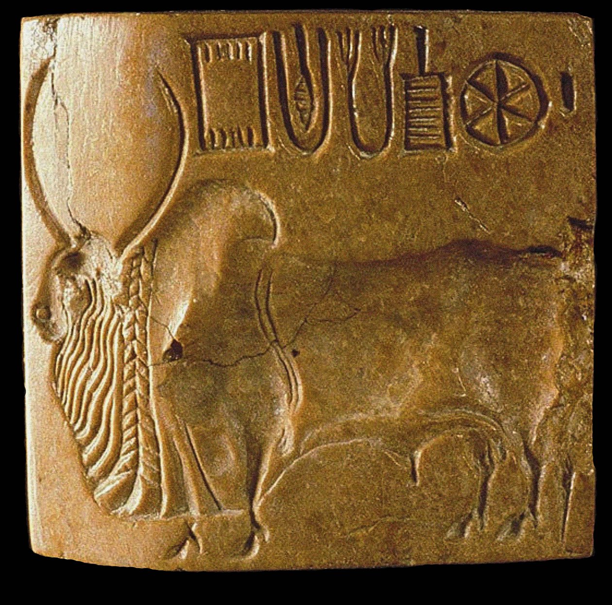 Sigillo del toro Zebu con scrittura dell
