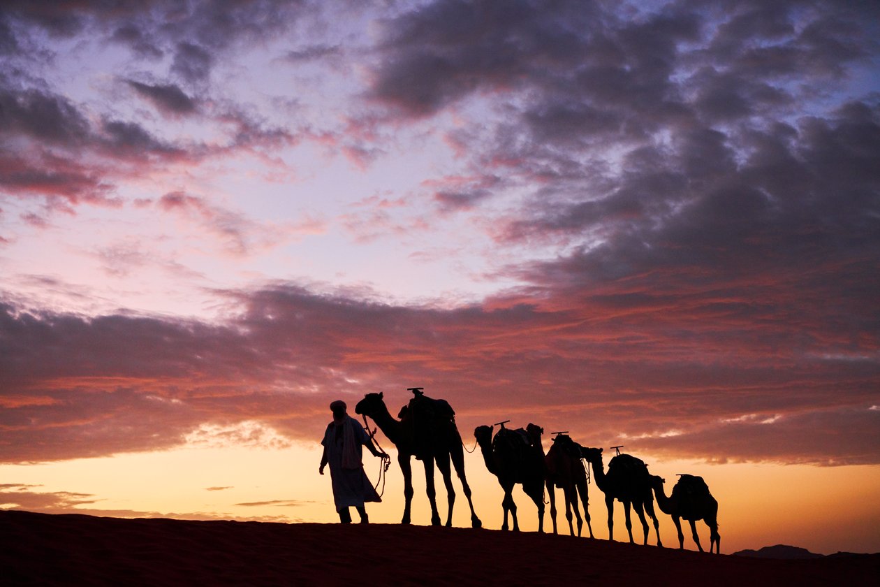 Un cammelliere guida i suoi cammelli a Erg Chebbi nel deserto a Merzouga, Marocco, 2019 (foto) da Ira Block