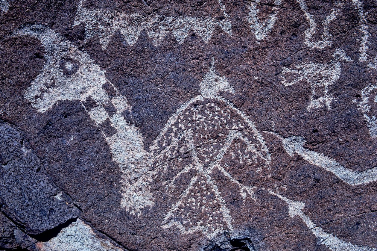 Petroglifo Anasazi (arte rupestre) in Nuovo Messico. da Ira Block