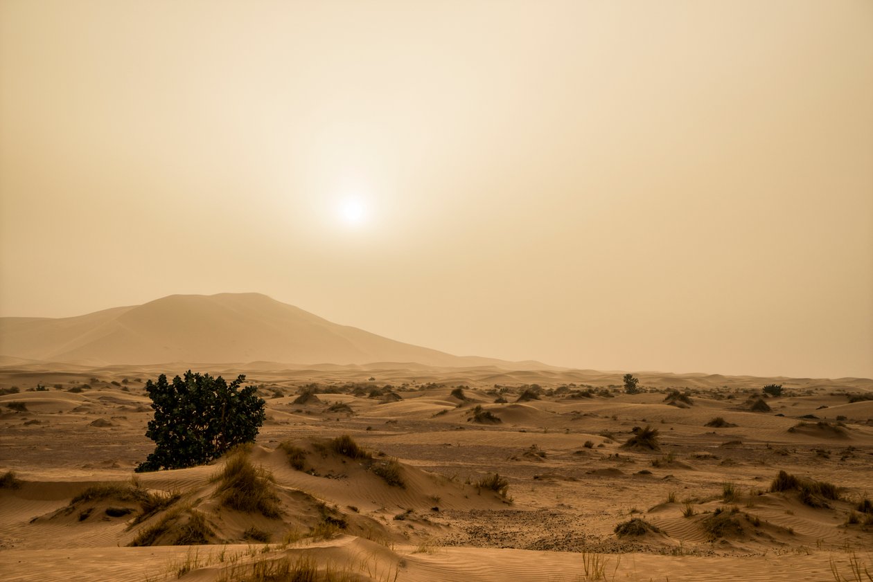 Dune di sabbia nel deserto di Erg Chebbi nel sud-est del Marocco, 2014 da Ira Block