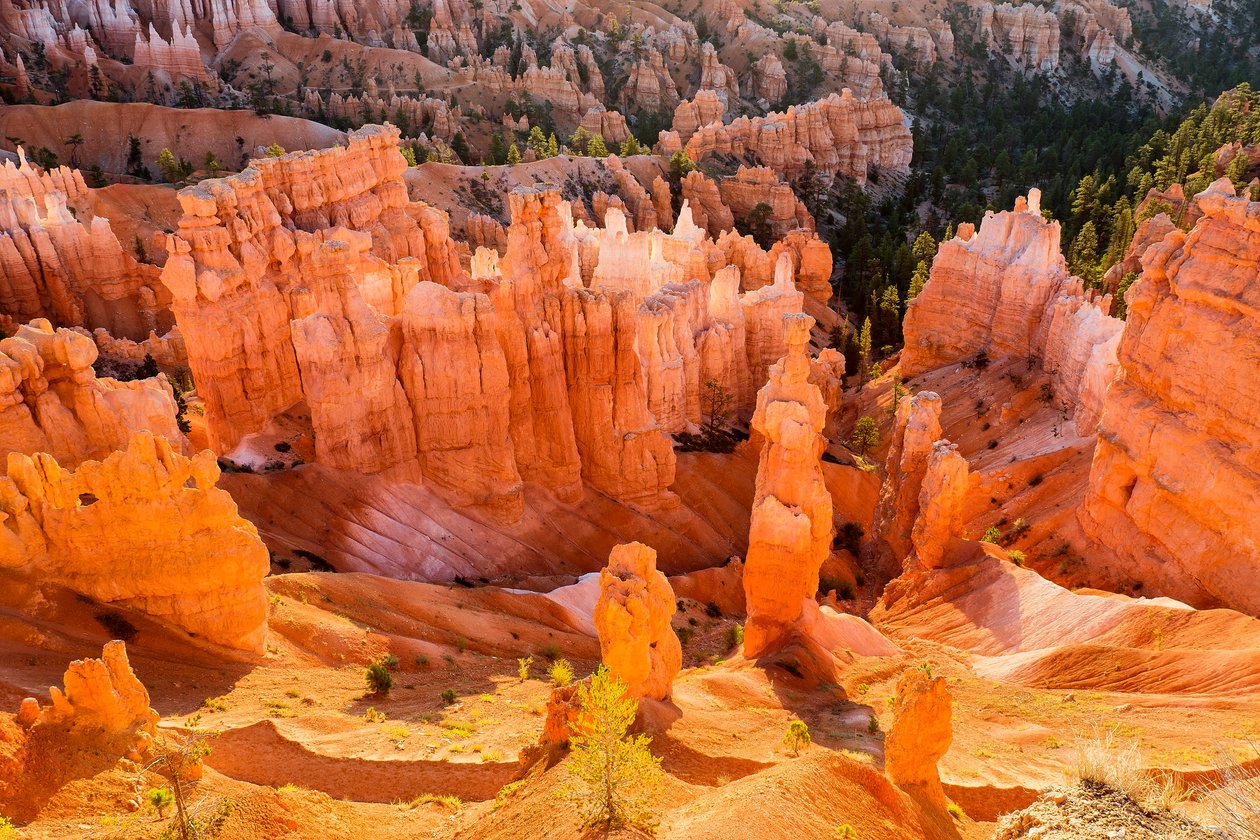 Alba sugli Hoodoos nel Bryce Canyon National Park, 2012 da Ira Block
