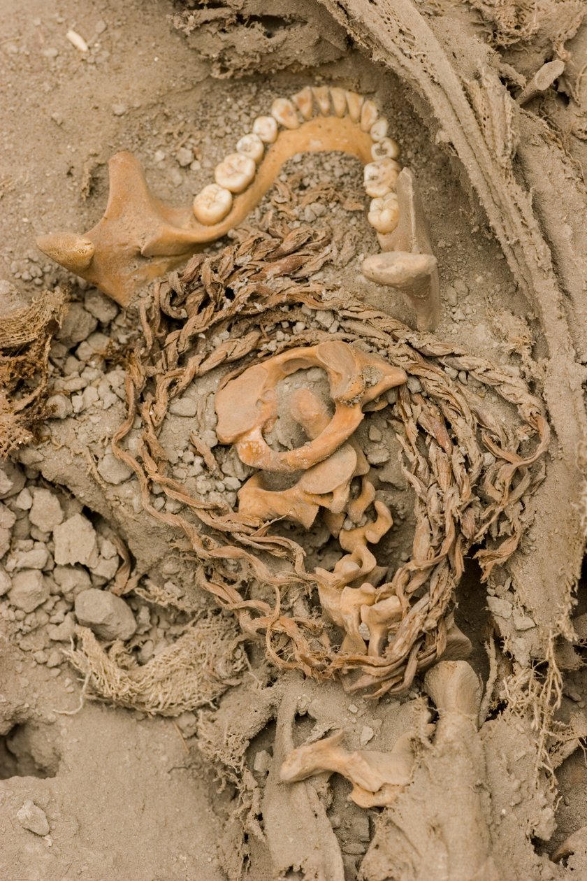I resti del sacrificio femminile, 2005 (foto) da Ira Block
