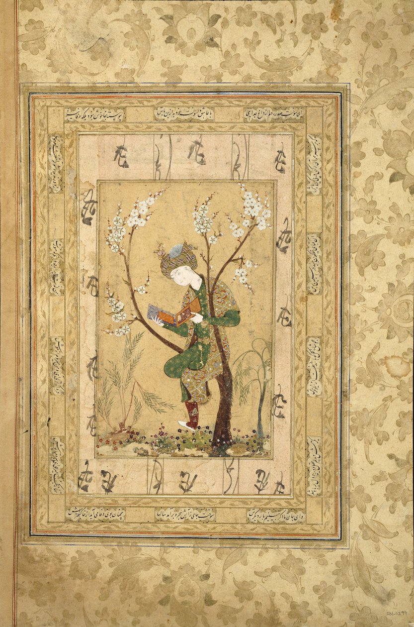 Giovane seduto nel ramo di un albero in fiore, 1560s da Iranian Master