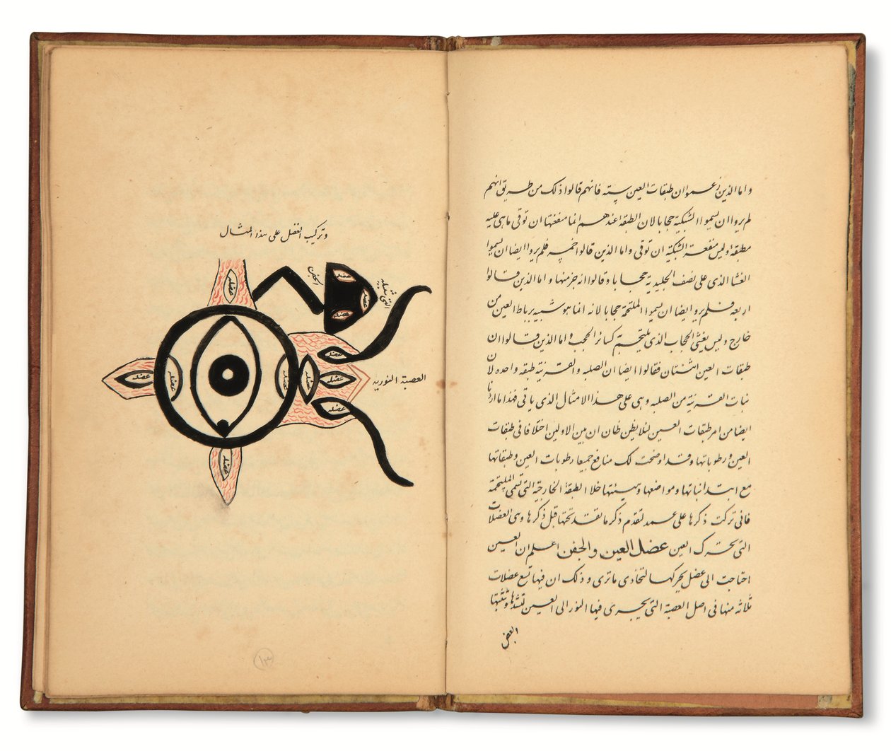 Hunayn Bin Ishaq († 873 d.C.): Tre trattati (Maqalat) di oftalmologia, Qajar, Iran, prima metà del XIX secolo (inchiostro su carta) da Iranian School