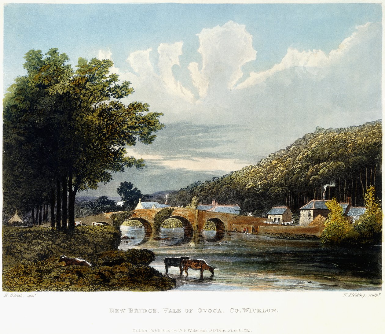 Nuovo ponte, Valle di Ovoca, Co. Wicklow da Irish School