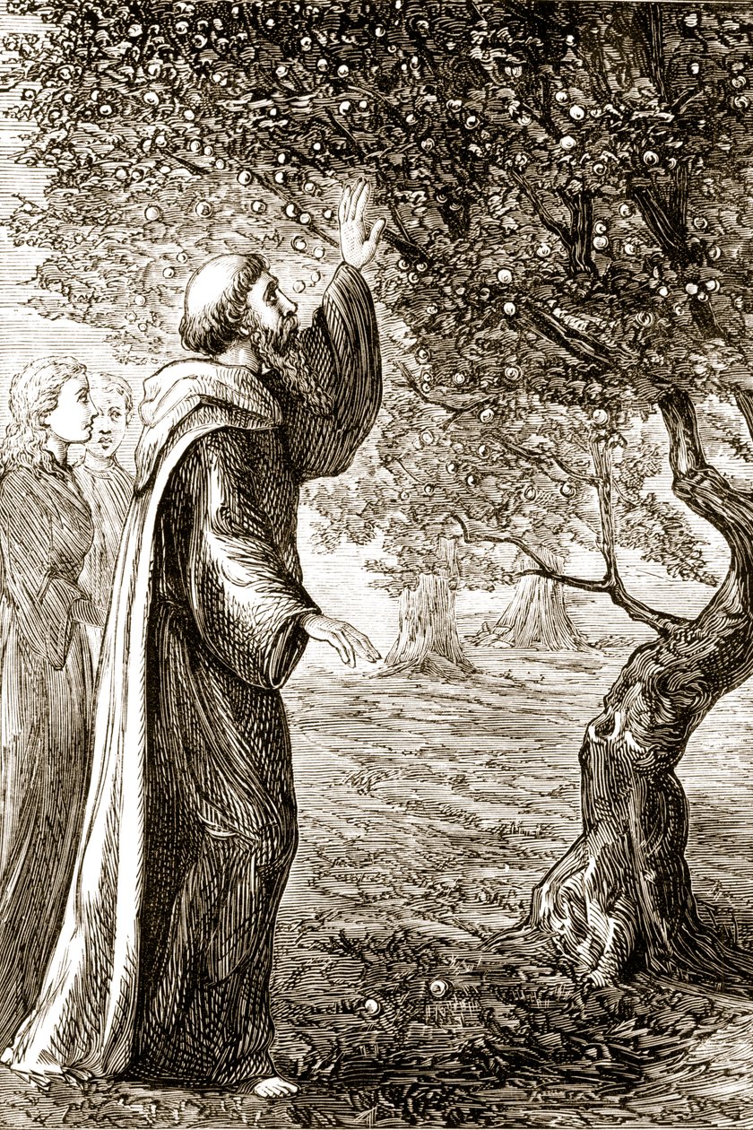 San Columba trasforma frutti amari in dolci, da The Trias Thaumaturga, o Tre santi miracolosi d