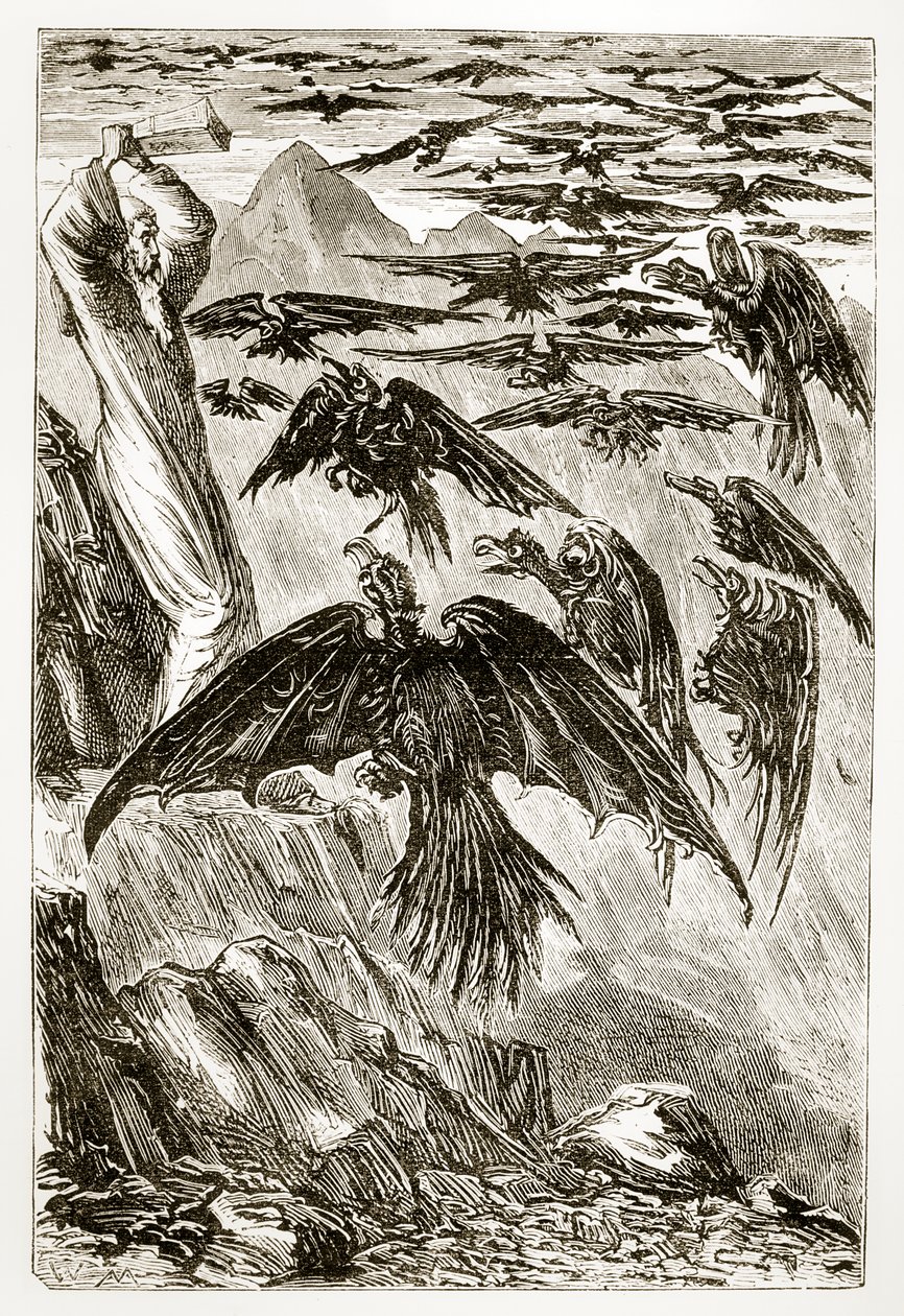 San Patrizio e gli uccelli demoniaci, da The Trias Thaumaturga, o Tre santi miracolosi d