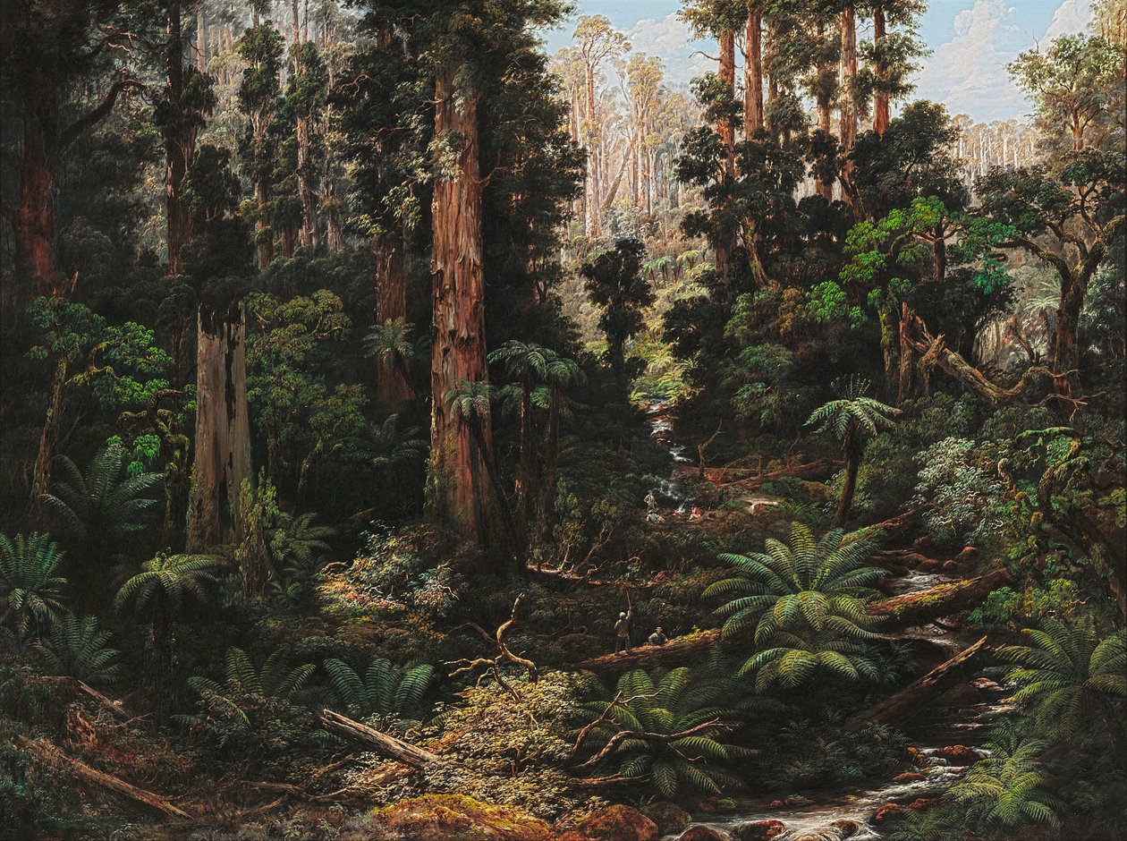 Nella Valle del Sassofrasso, Victoria da Isaac Whitehead