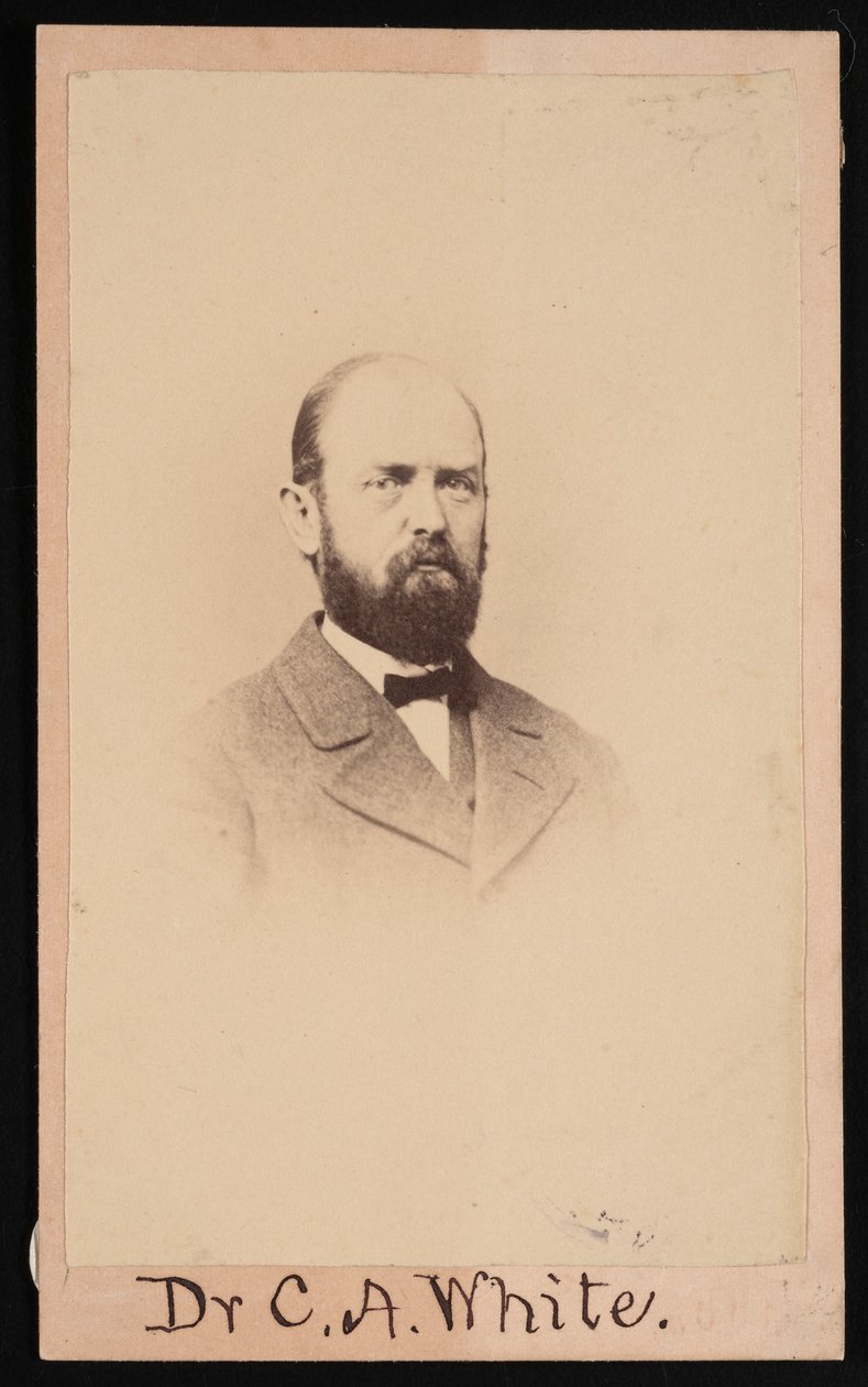 Ritratto di Charles Abiathar White 1826-1910, 1868 da Isaac Augustus Wetherby