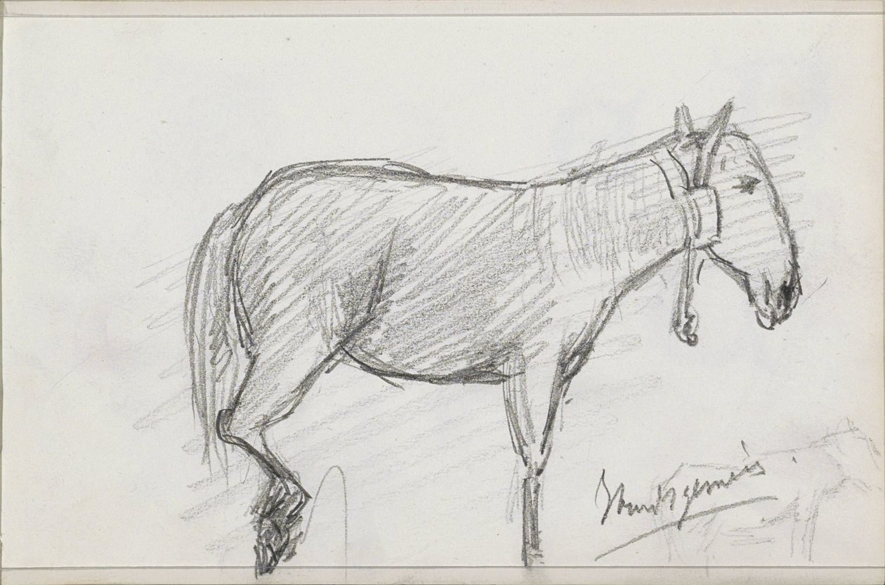 Cavallo da Isaac Gosschalk