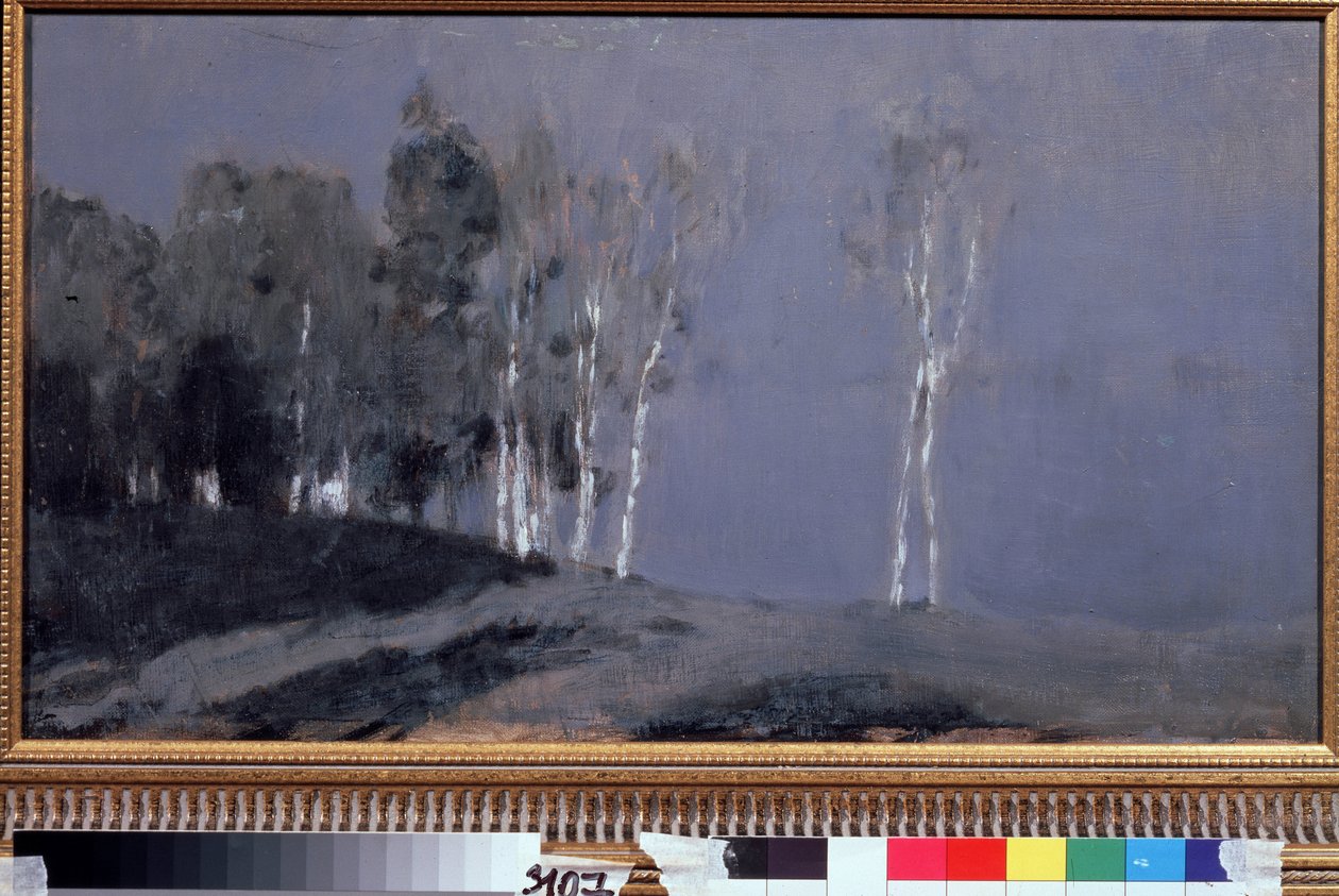 Notte illuminata dalla Luna da Isaak Ilyich Levitan