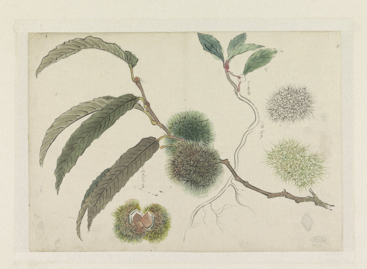 Castagne dolci su un ramo da Ishikawa Kazan