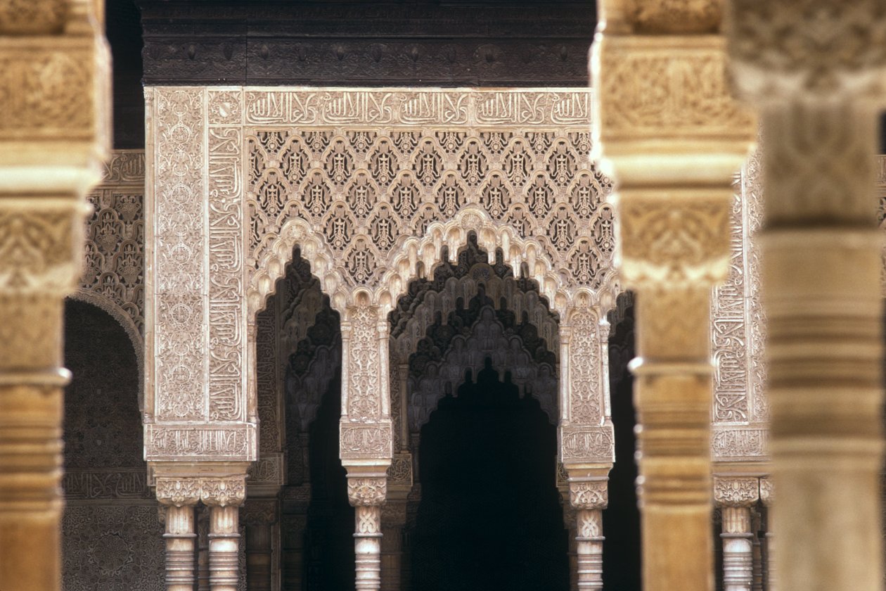 Dettaglio degli archi nel Cortile dei Leoni da Islamic School