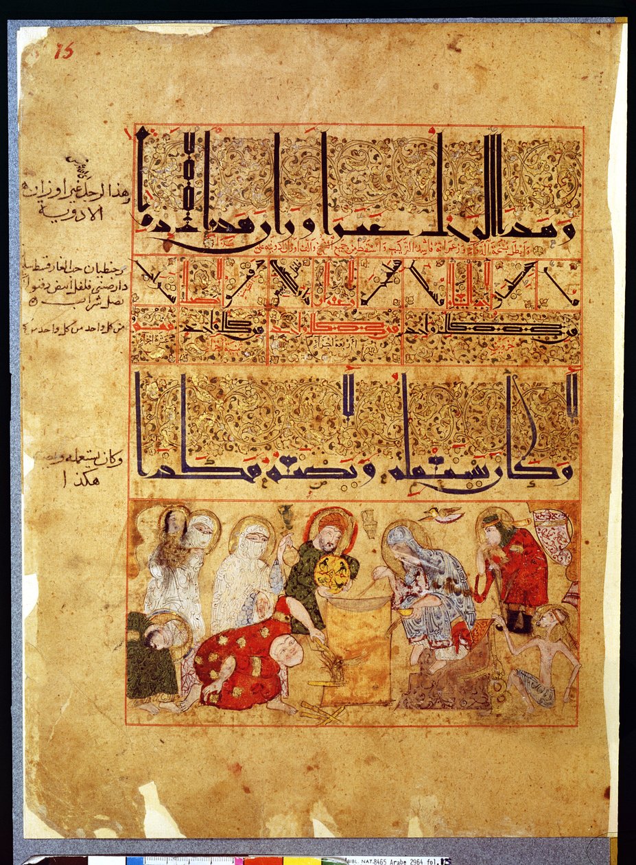 Ms. Arabe 2964 fol.15 da Trattato di Theriac dopo Galeno, 1217 da Islamic School