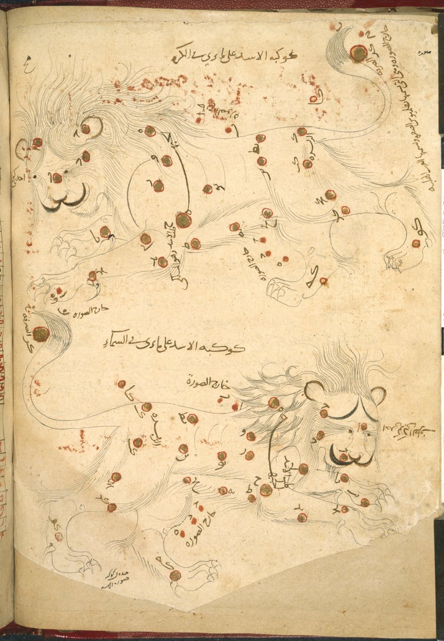 Or 5323 f.45v Due leoni, illustrazione da 