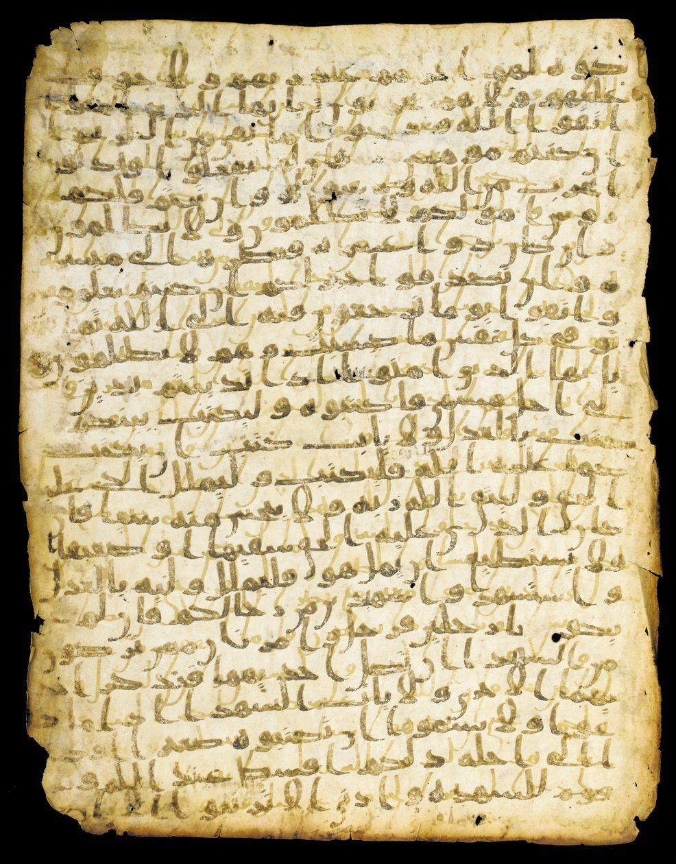Foglia di Corano palinsesto, probabilmente Medina, metà del VII secolo da Islamic School