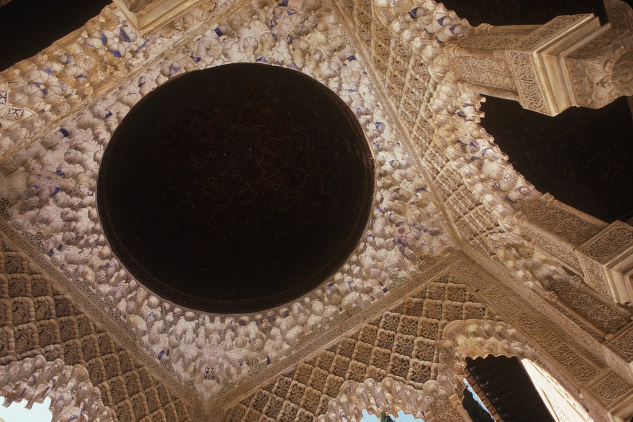 Il soffitto nel Cortile dei Leoni da Islamic School