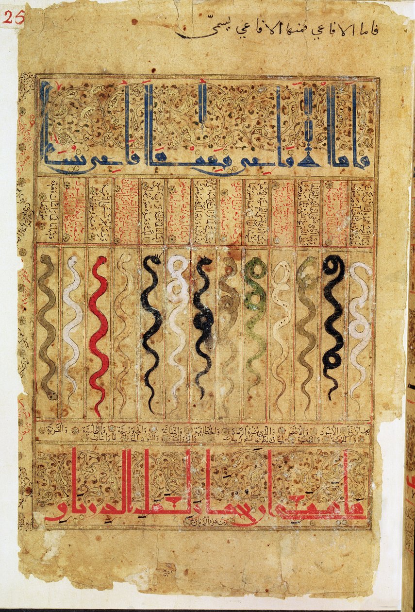 Trattato di Teriaca dopo Galeno, 1217 da Islamic School