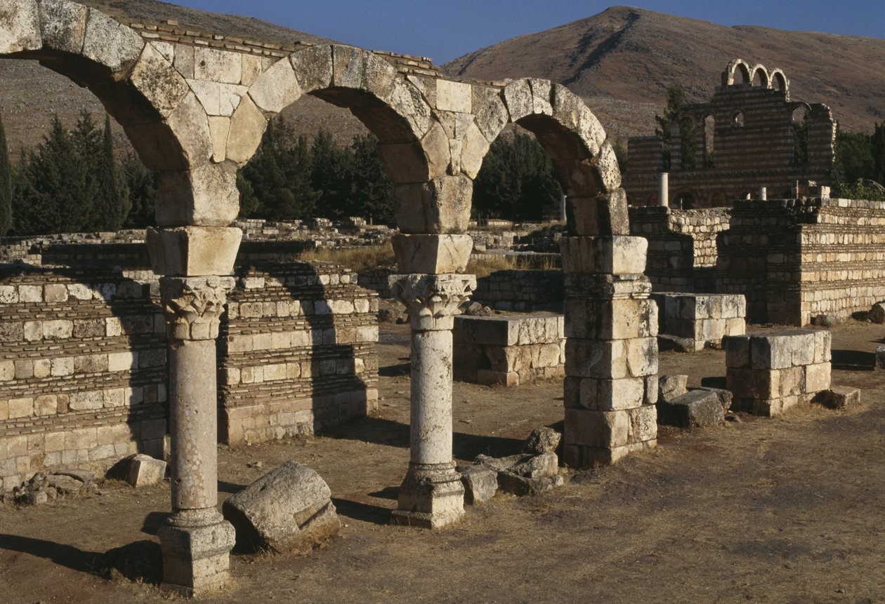 Vista di un colonnato, Periodo Omayyade (661-750) da Islamic School