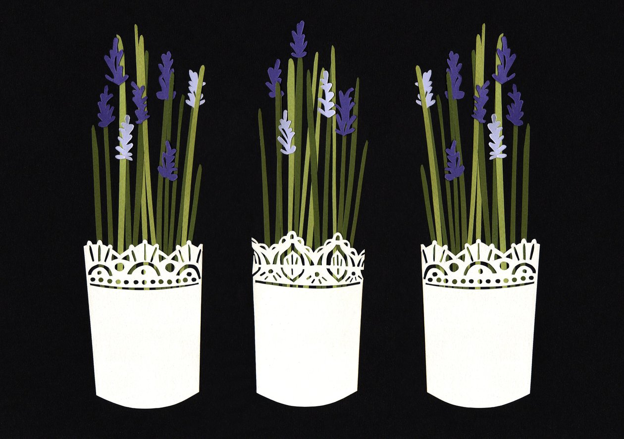 Vasi di lavanda, 2014 (carta) da Isobel Barber