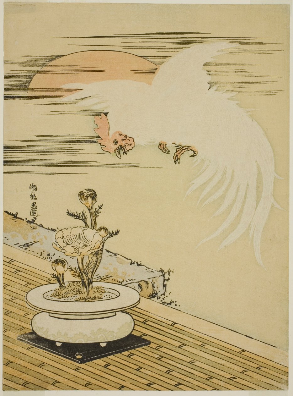 Gallo che Vola Sopra un Vaso di Adone da Isoda Koryusai