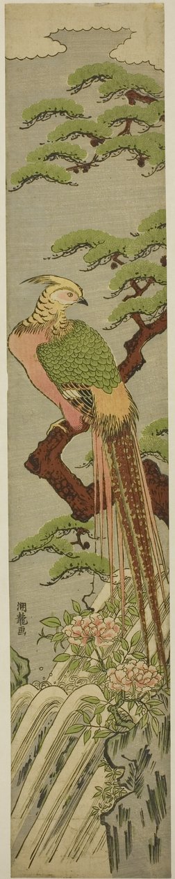 Fagiano Dorato su un Pino sopra Peonie e Cascata da Isoda Koryusai