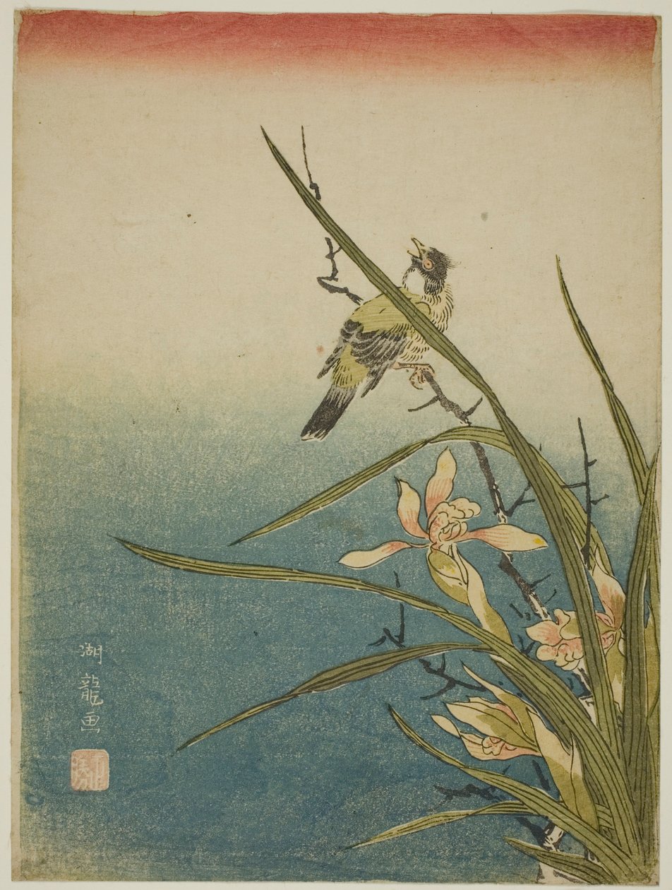 Orchidea e Uccello da Isoda Koryusai