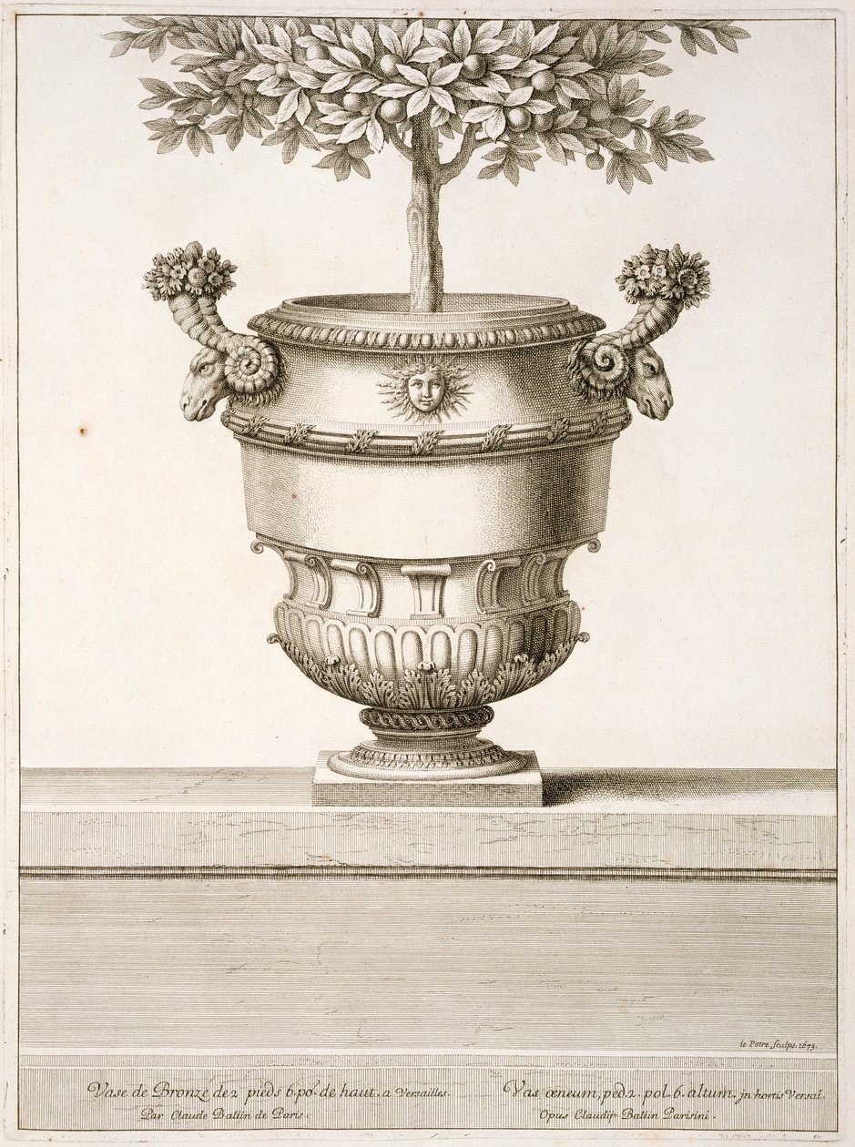 Urne di bronzo usate per alberi di agrumi, illustrazione da 