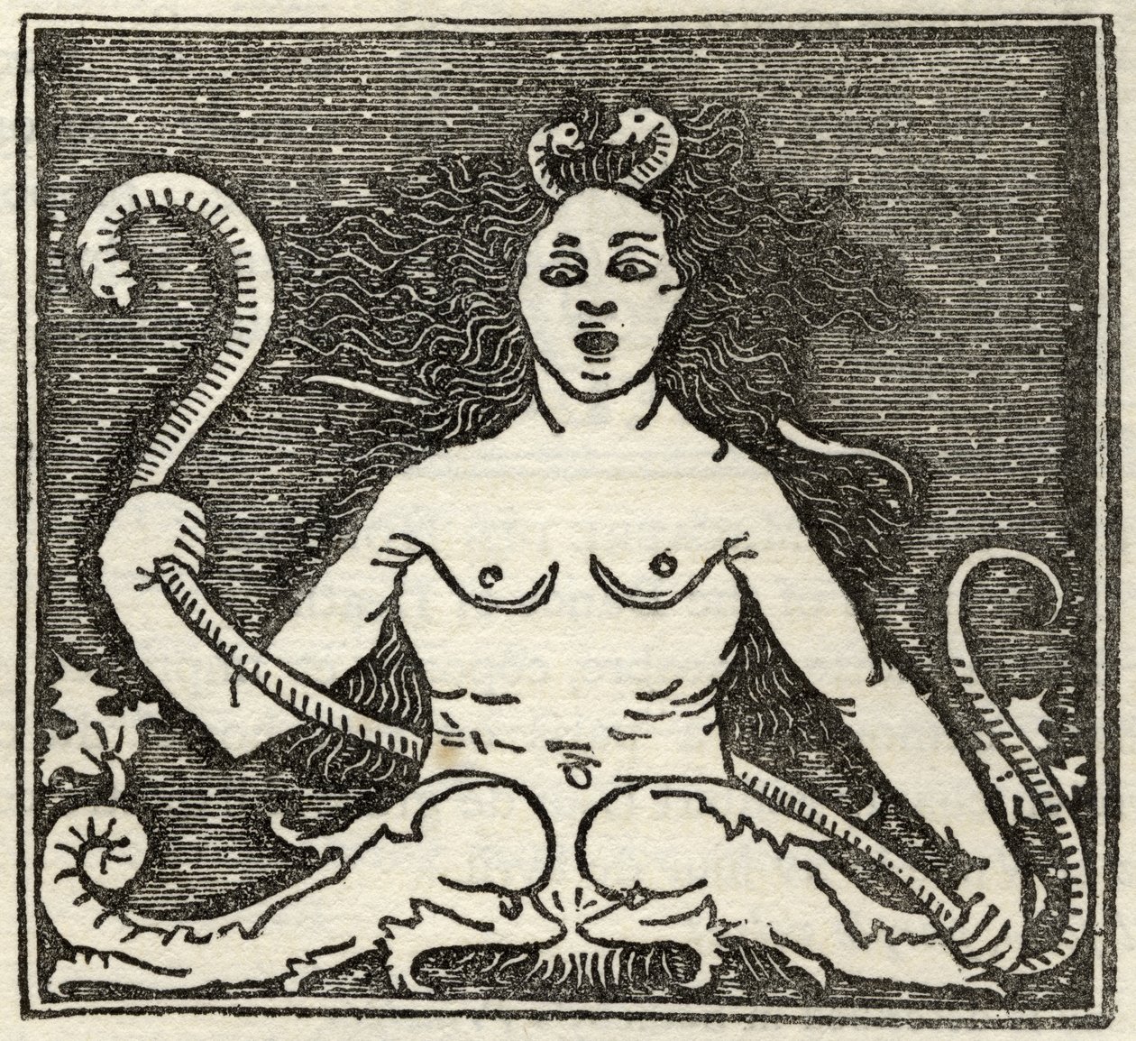 Figura di Medusa, da 